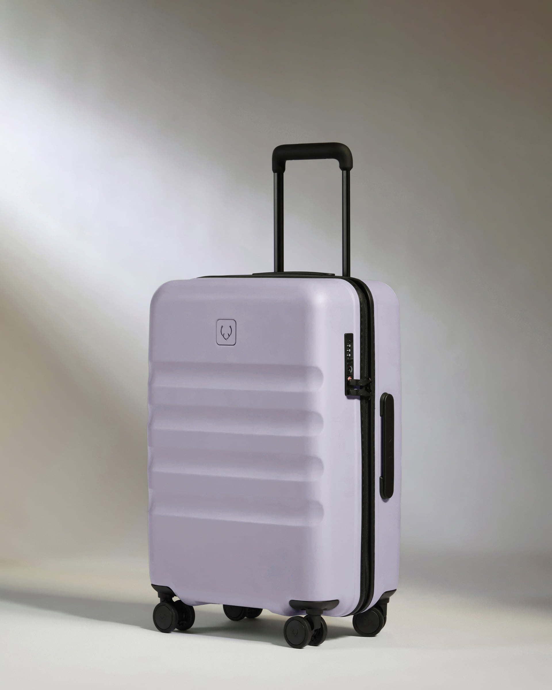Large Carry-on Luggage Set in Meadow Purple - Icon Stripe