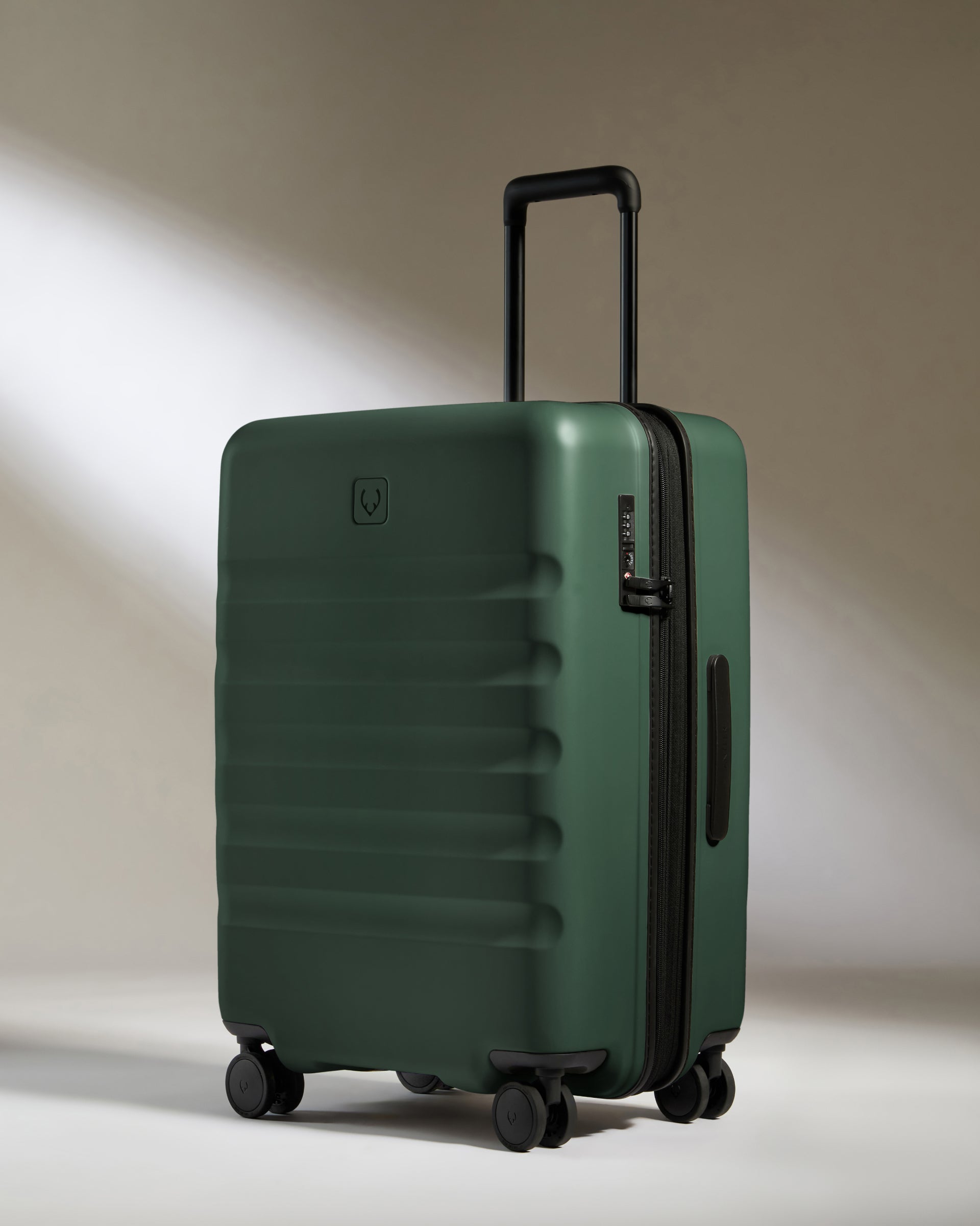 Carry-on with Pocket Luggage Set in Antler Green - Icon Stripe