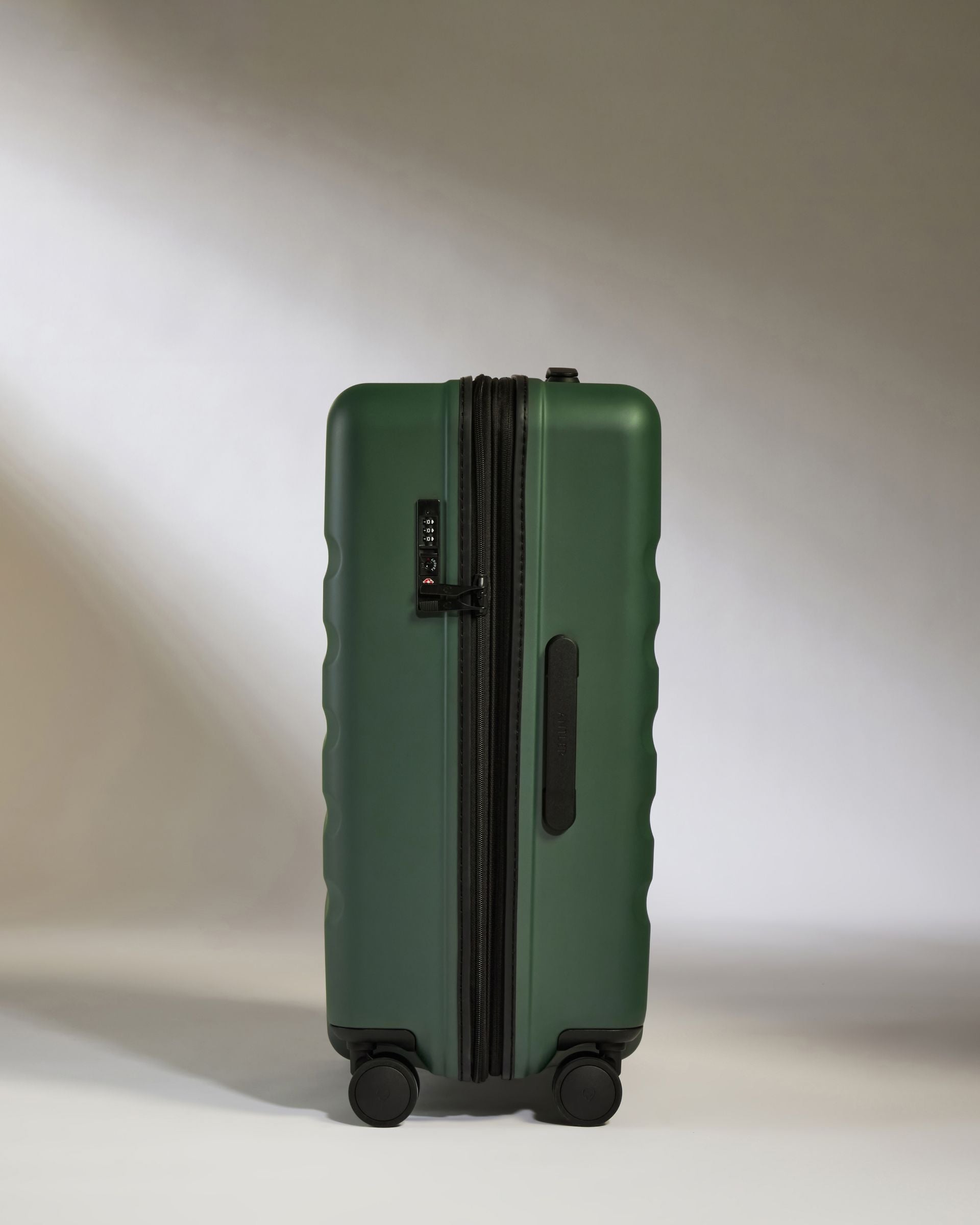 Medium Luggage in Antler Green - Icon Stripe