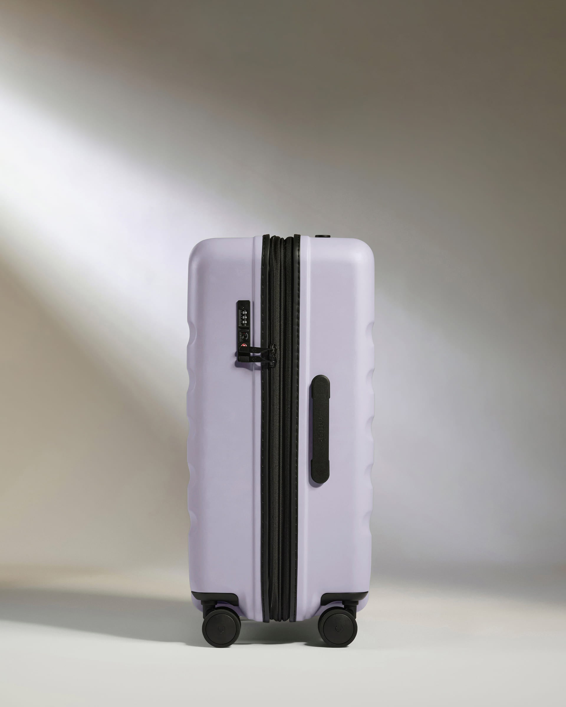 Medium Luggage in Meadow Purple - Icon Stripe