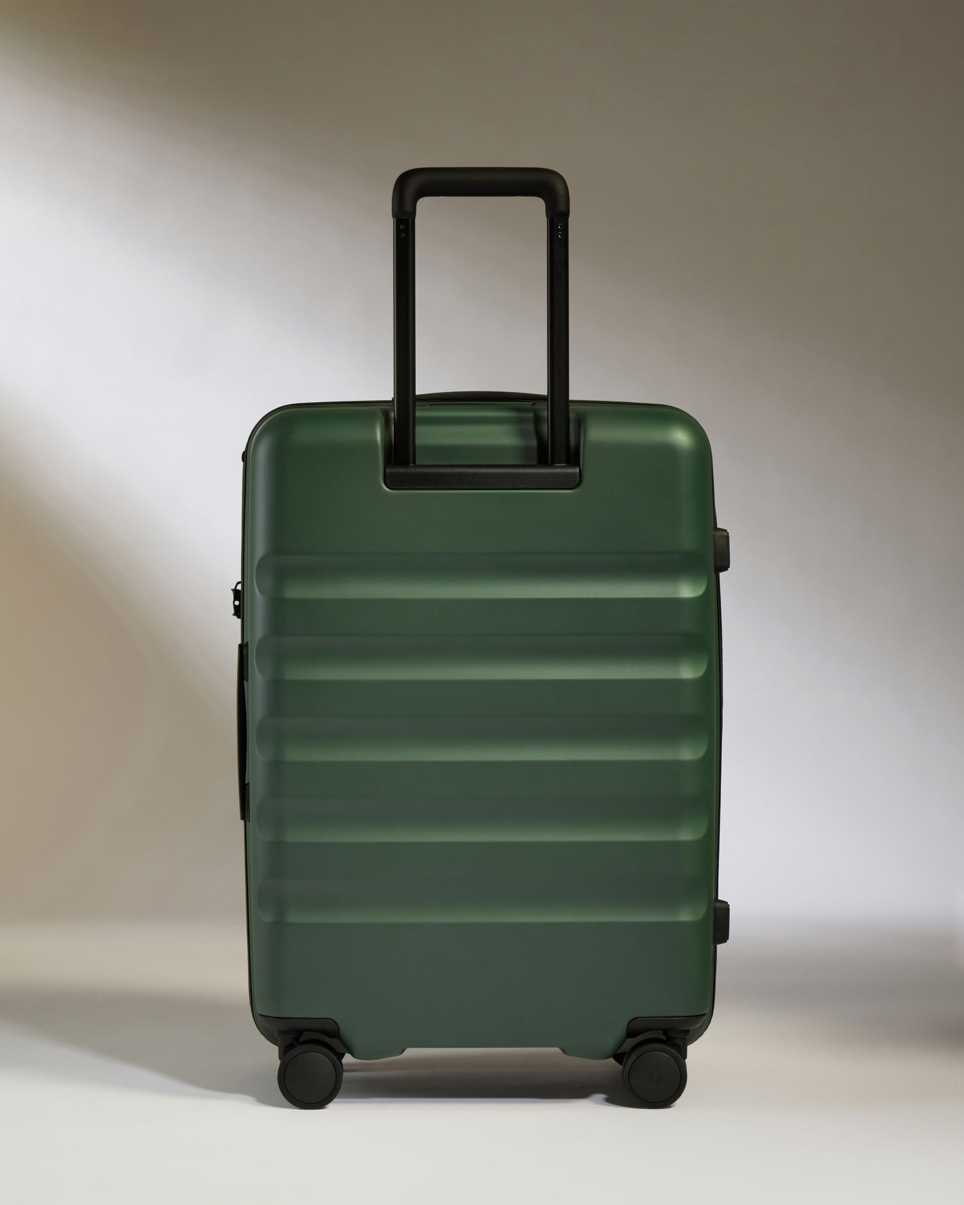 Medium Luggage in Antler Green - Icon Stripe